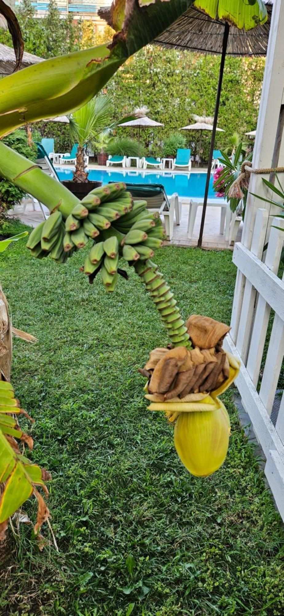 Hotel Liani サニービーチ エクステリア 写真